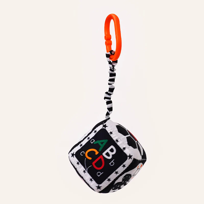 B&W Discovery Cube with Rattle