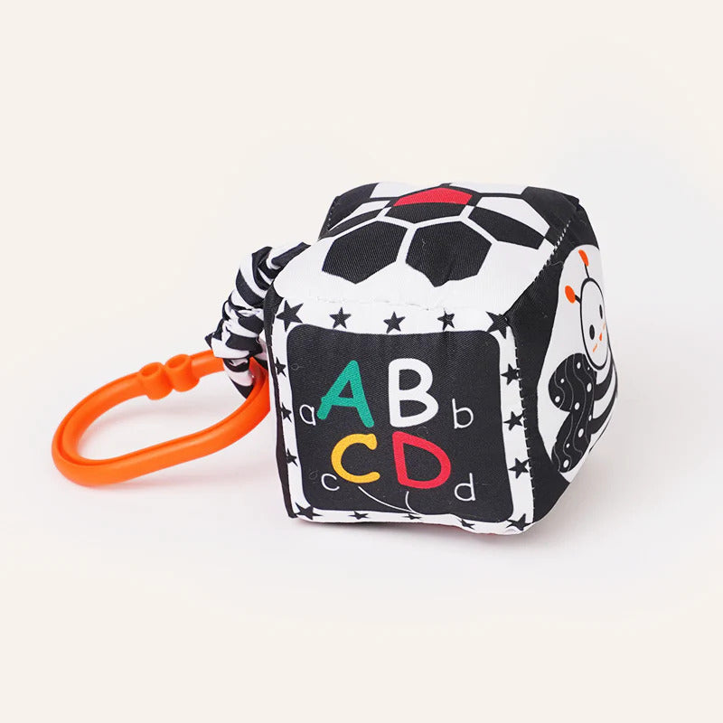 B&W Discovery Cube with Rattle
