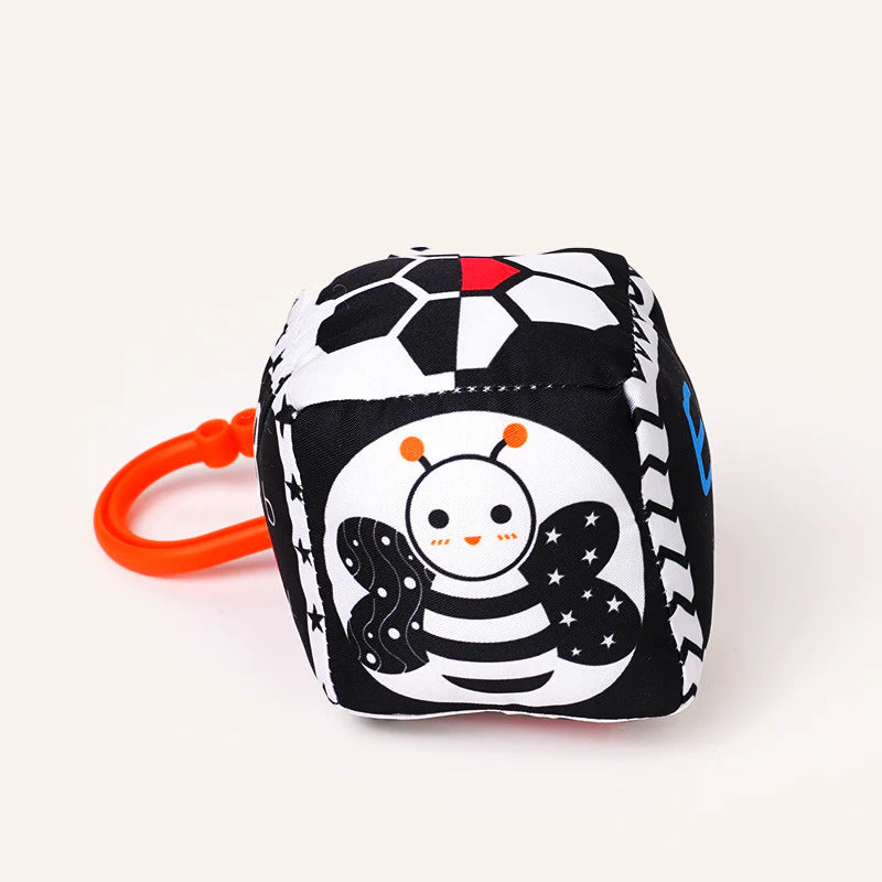 B&W Discovery Cube with Rattle